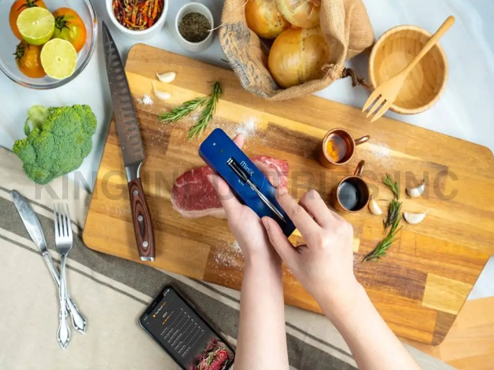 The MeatStick Mini Smart Wireless Meat Thermometer | BBQ Meat Mini Thermometers