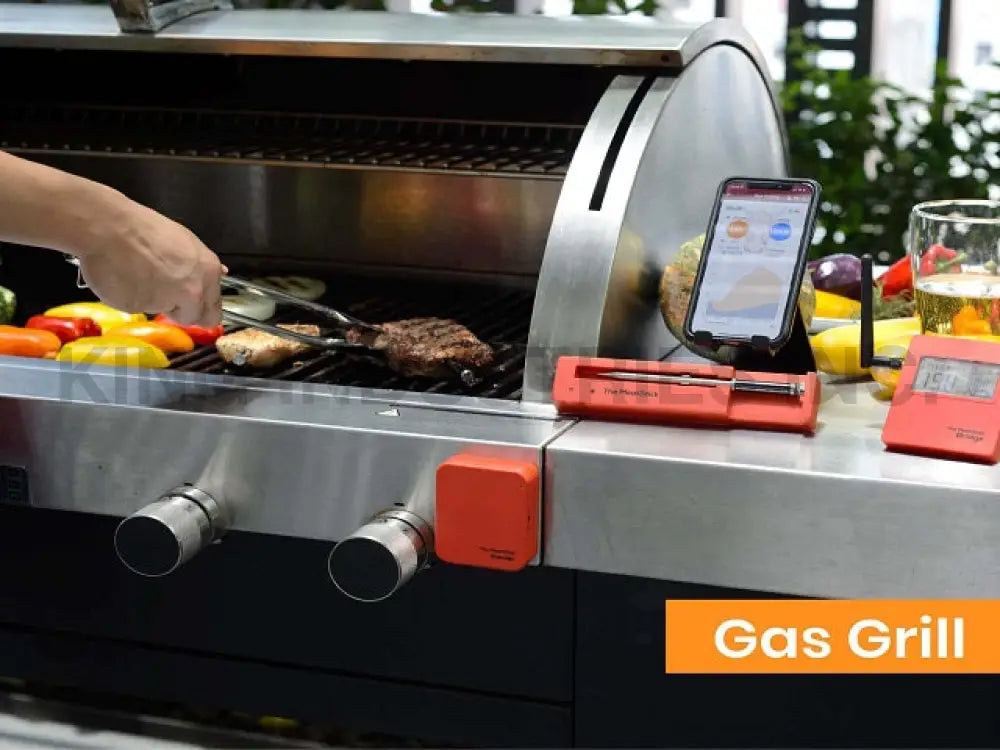 The MeatStick Smart Wireless Meat Thermometer | BBQ Meat Thermometers