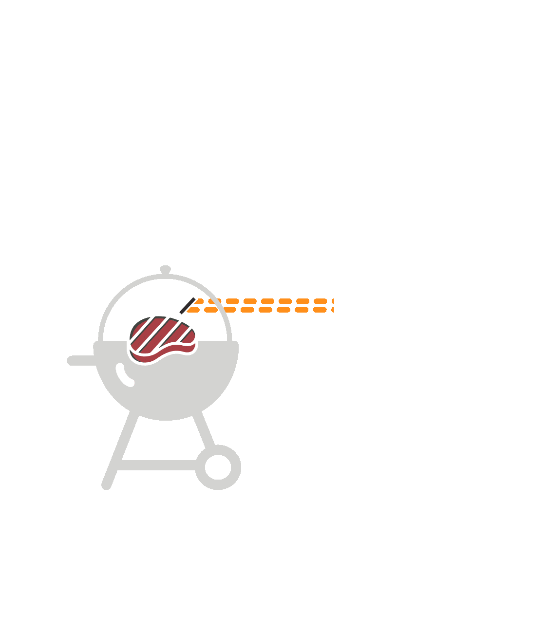 The MeatStick/Mini Smart Wireless Meat Thermometer WiFi Bridge | The MeatStick WiFi Bridge
