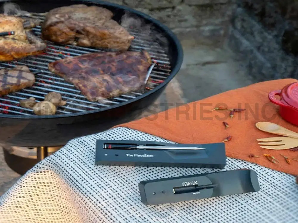 The MeatStick BBQ and Kitchen Smart Wireless Meat Thermometer SET | BBQ MeatStick BBQ and Kitchen Set