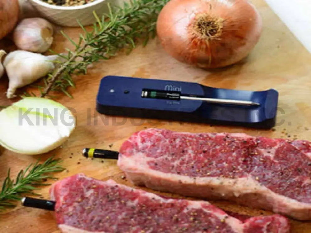 The MeatStick Mini Smart Wireless Meat Thermometer | BBQ Meat Mini Thermometers